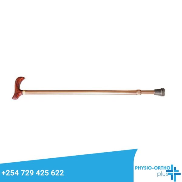 Walking Stick - Physio Orthoplus